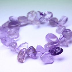 Image of Ametystov&aacute; ježura