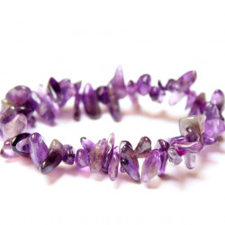 Image of Ametystov&aacute; ježura