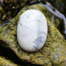 Image of Dendrick&yacute; op&aacute;l