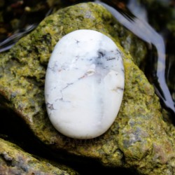 Dendrick&yacute; op&aacute;l