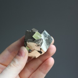 Image of Pyritov&aacute; drůza