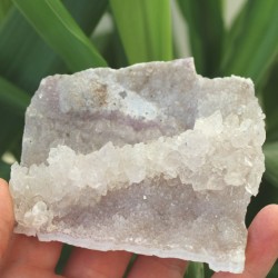 Image of Kři&scaron;ť&aacute;lov&aacute; drůza