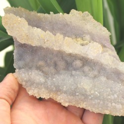 Image of Kři&scaron;ť&aacute;lov&aacute; drůza