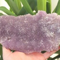 Image of Ametystov&aacute; drůza