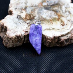 Image of Čaroit př&iacute;vě&scaron;ek