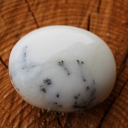 Image of Dendrick&yacute; op&aacute;l