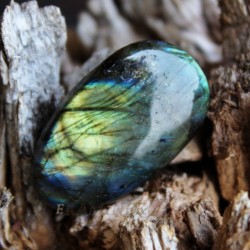 Image of Labradorit- ov&aacute;lek ( &scaron;perkov&aacute; kvalita)