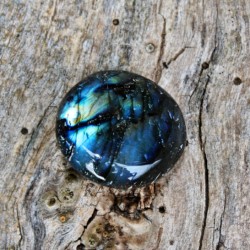 Image of Labradorit- ov&aacute;lek ( &scaron;perkov&aacute; kvalita)