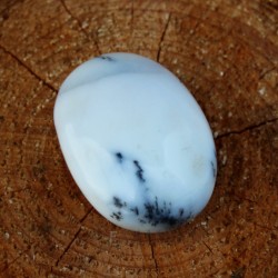 Image of Dendrick&yacute; op&aacute;l