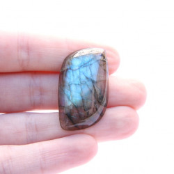 Image of Labradorit brou&scaron;en&yacute; kabo&scaron;on