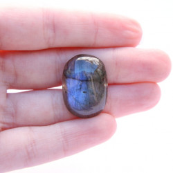 Image of Labradorit brou&scaron;en&yacute; kabo&scaron;on