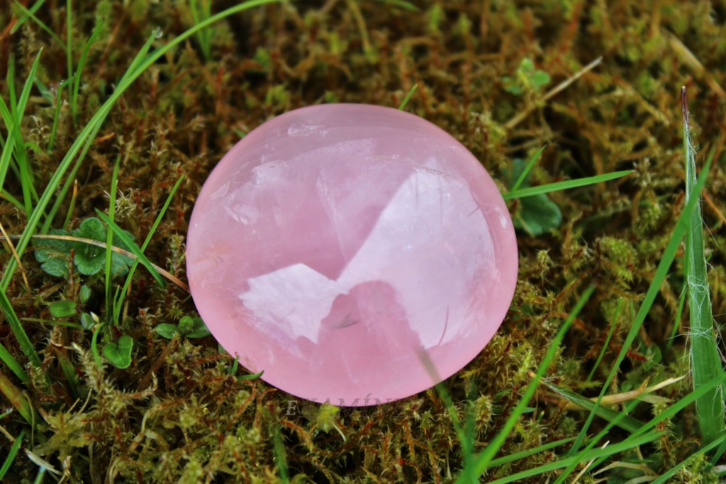 Růžen&iacute;n